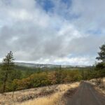 Forest Backcountry Rd