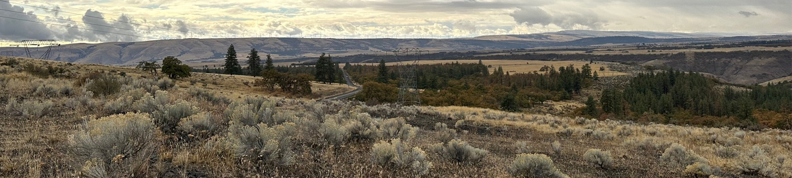 Klickitat landscape