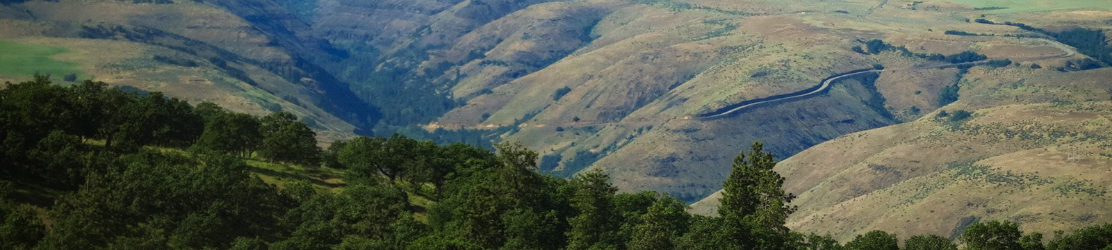 Valley with forest and rangeland