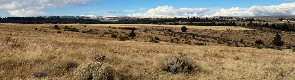 Klickitat landscape